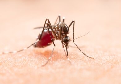 Dengue: ”Espero que apliquen la vacuna a quienes lo tuvieron”, dice el Dr. Pizzi